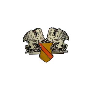Pin "Greifen Republik Baden" ausgestanzt (groß)